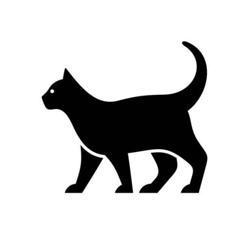 KEDİ