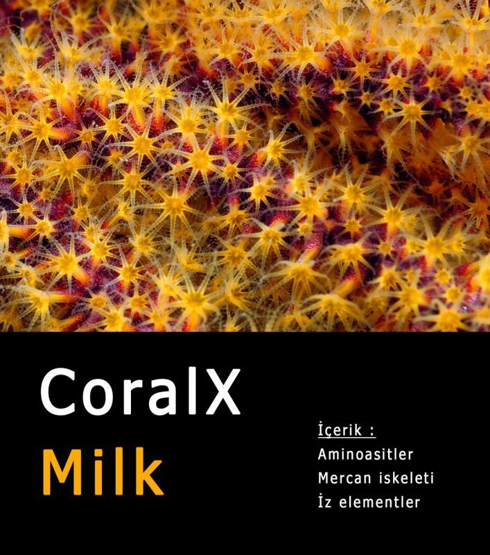 CoralX Milk 1000ml Mercan Besini