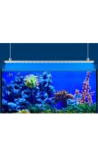 Eheim powerLED Actinic Blue 11w