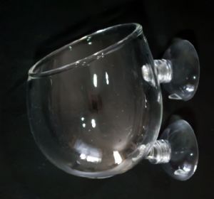 Cam Saksı