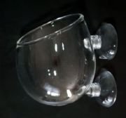 Cam Saksı