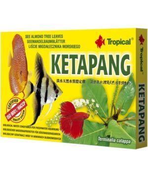 Tropical Ketapang Katappa Yaprağı 30gr