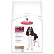 Hills Adult 1-6 Kuzu Pirinç Köpek Maması 12kg