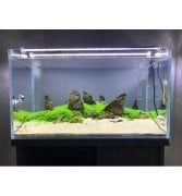 Orionled BAR LED AYDINLATMA BEYAZ 6500K 70cm