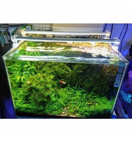 OrionLed LED AYDINLATMA ARMATÜR DAYLİGHT 100CM 3000K