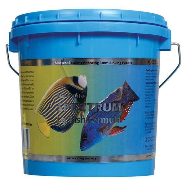 New Life Spectrum Large Fish Formula 100gr Açık