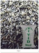 Vivid Nijer 1000Gr. Açık