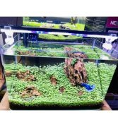 OrionLed BAR LED AYDINLATMA KARIŞIK RENKLİ 4RENK 90CM