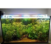 OrionLed BAR LED AYDINLATMA RENKLİ 4RENK 60CM