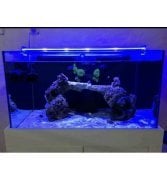 OrionLed BAR LED AYDINLATMA ROYAL MAVİ 70CM