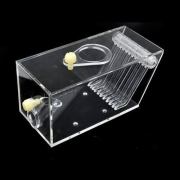 Coral Box - Crab Box (akrilik kapan)