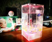 VIV Self Clean Aquarium