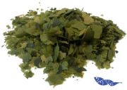 Tetra Phyll 100gr. Açık