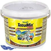Tetramin Pul Yem 100gr Açık