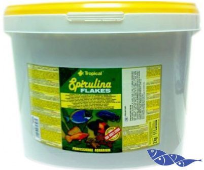 Tropical Spirulina Flakes 100gr. (Açık)