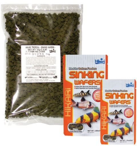 Hikari Tropical Sinking Wafers 50gr (Açık)
