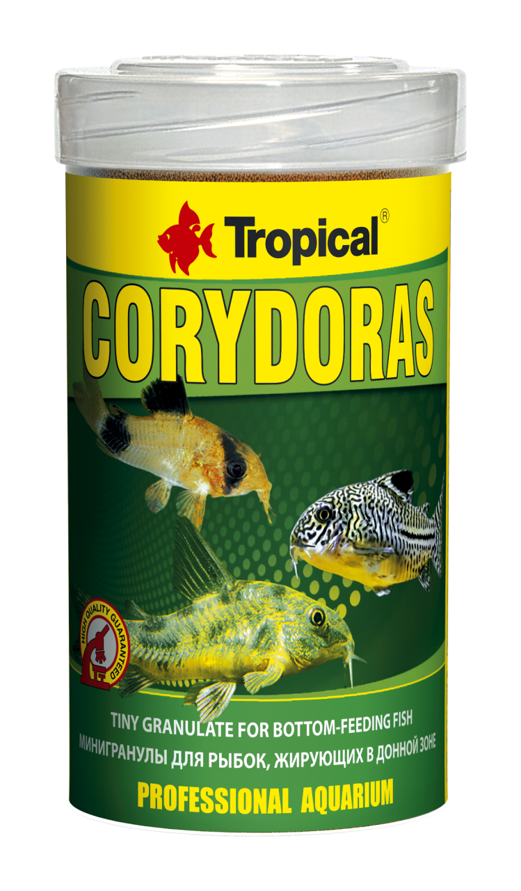 Tropical Corydoras 100ml / 68gr.