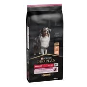 Pro Plan Medium Sensitive Skin Somonlu Yetişkin Köpek Maması 14kg