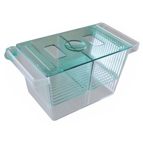 Kardelen Plastik Yavruluk (Büyük)