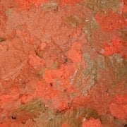 Omega One Cichlid Flakes 50gr Açık