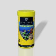 Rotifish FD Brine Shrimp 100ml 9gr