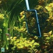 Jbl Premium Kepçe 10cm