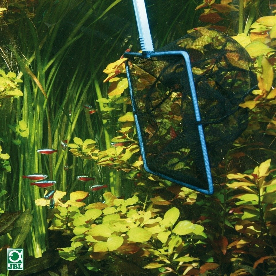 Jbl Premium Kepçe 10cm