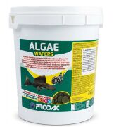 Prodac Algae Wafers 4.5Lt / 2kg