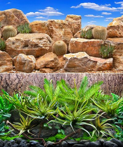 Sea View Desert Sky / Tropical Terrarium 45*10cm