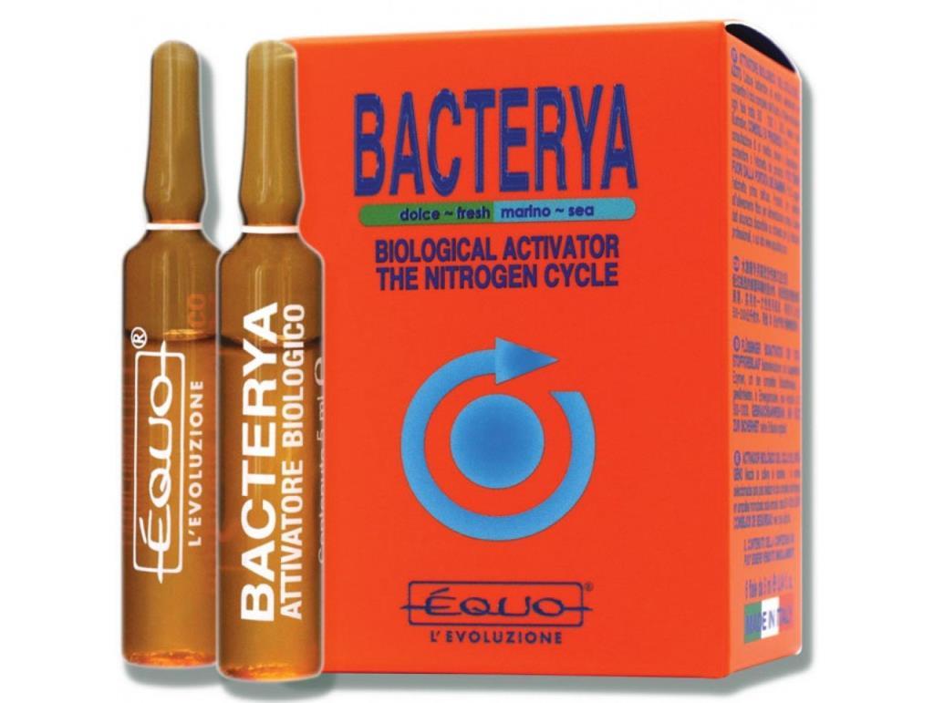 Equo Bacterya 6x5ml