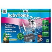 Jbl BabyHome Oxygen