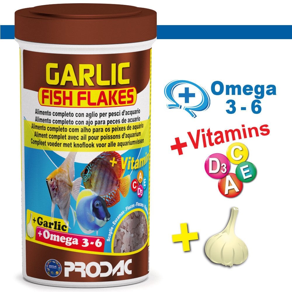 Prodac Garlic Fish Flakes 100gr Açık
