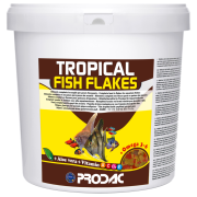Prodac Tropical Fish Flakes 100gr Açık