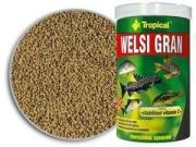 Tropical Welsi Gran 100ml 65gr.