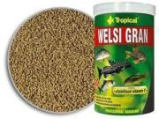 Tropical Welsi Gran 100ml 65gr.