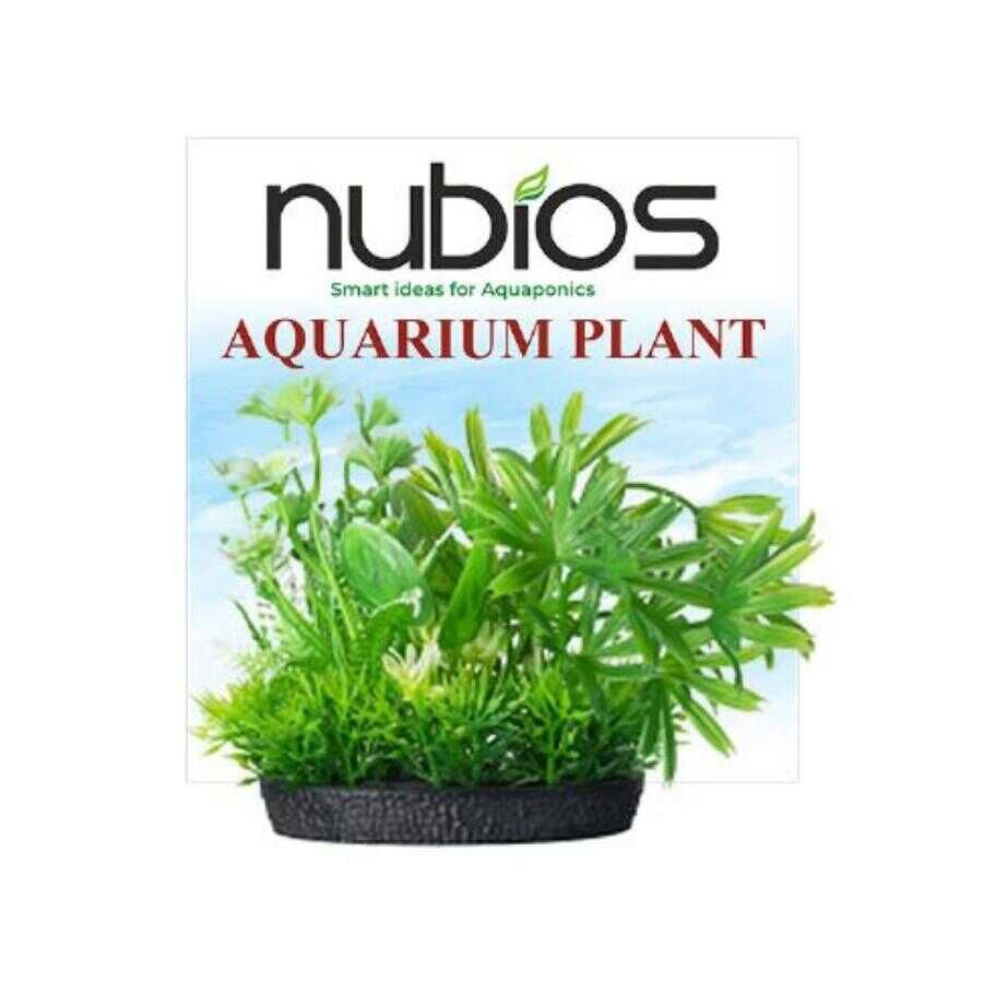 Nubios Q-406 Plastik Bitki