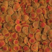 Tetra Discus Pro 500ml / 115gr.