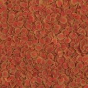 Tetra Pro Colour Cips 100gr (Açık)