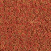 Tetra Pro Colour Cips 100gr (Açık)