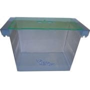 Plastik Yavruluk (Dev)