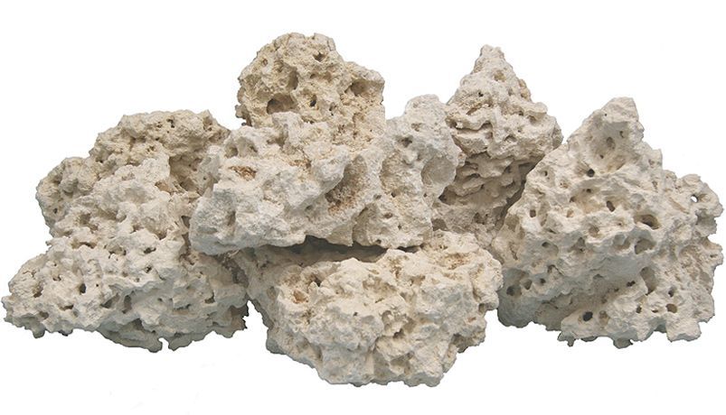 Natures Ocean - Natural Coral Reef Rock - Doğal Resif Kayası - 4,650Kg