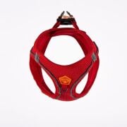 Pawstar Air-Mesh Kırmızı Köpek Göğüs Tasması XL Beden