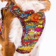 Pawstar Air-Mesh Wow Köpek Göğüs Tasması M Beden