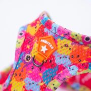 Pawstar Air-Mesh Monsters Köpek Göğüs Tasması L Beden