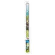 Juwel Poster 2 Blue Water - L Arka Fon 100x50cm