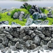 Juwel Poster 4 Aquascape / Stone - L Arka Fon 100x50cm