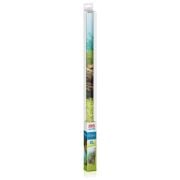 Juwel Poster1 Plant/Reef - L Arka Fon 100x50cm