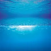 Juwel Poster1 Plant/Reef - L Arka Fon 100x50cm