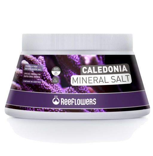 Reeflowers Caledonia Mineral Salt 500ml