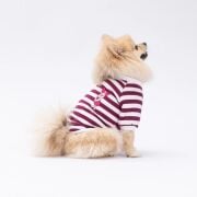 PawStar Mor Piglet Sweat L Beden